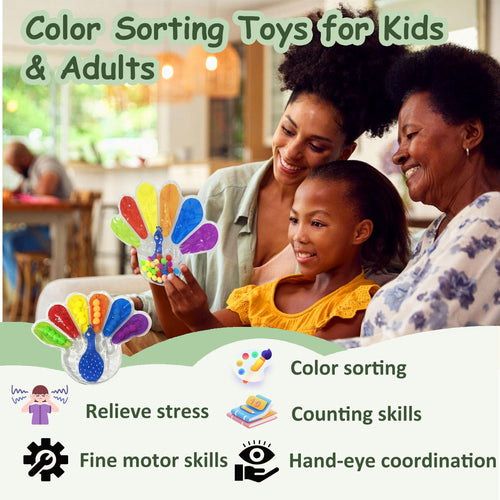GYsomer Color Sorting Sensory Toys, Fine Motor Skills Toys for Toddlers, Montessori Toys Preschool Learning Activitie, Sensory Activity Toy for Kids 3+ and Adults